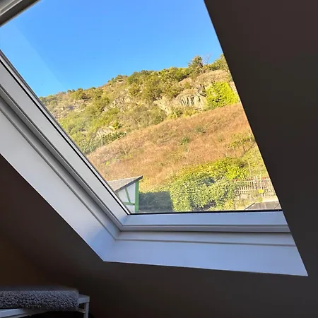 Apartment Weinblick Am Rhein