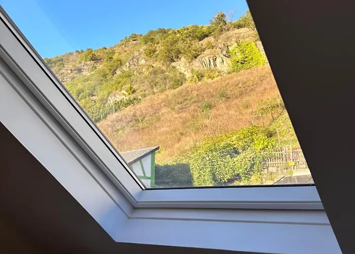 Appartement Weinblick Am Rhein